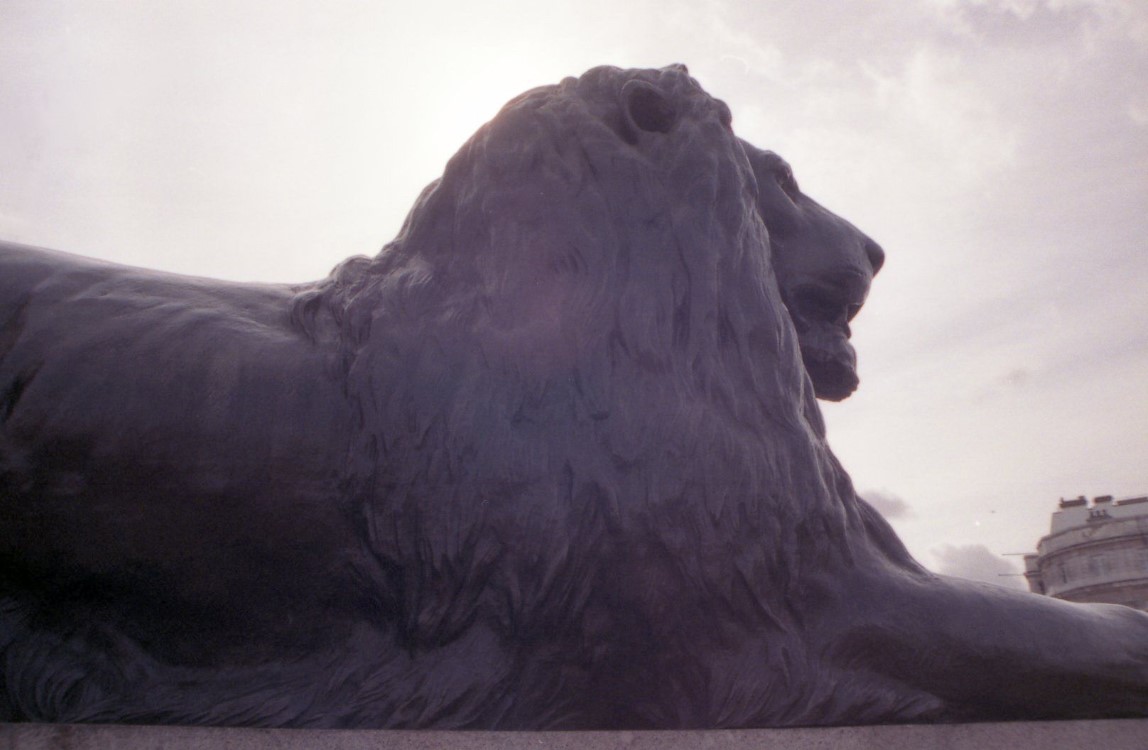 A Lion guarding Nelsons Column