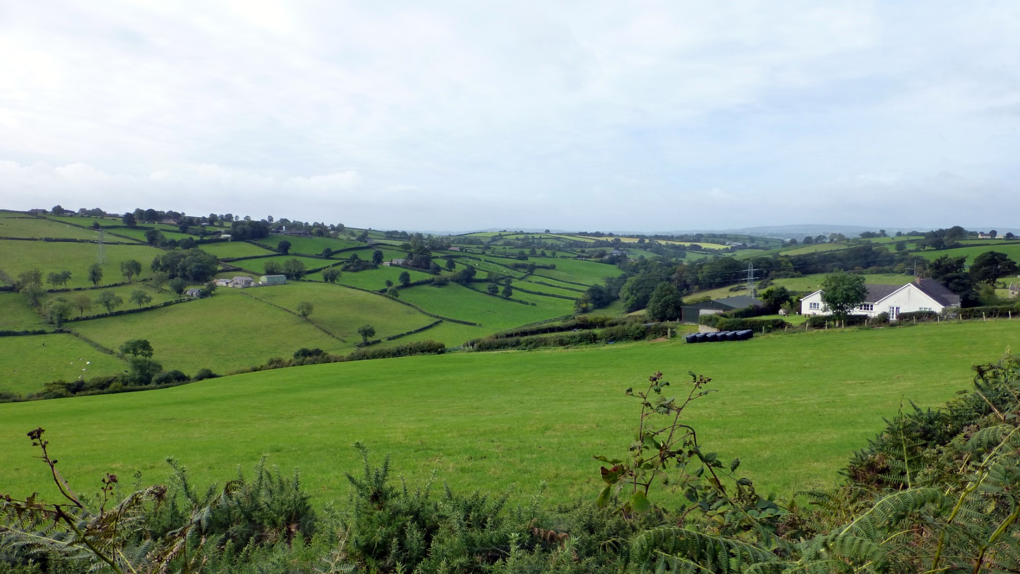 The Ballydogherty countryside.