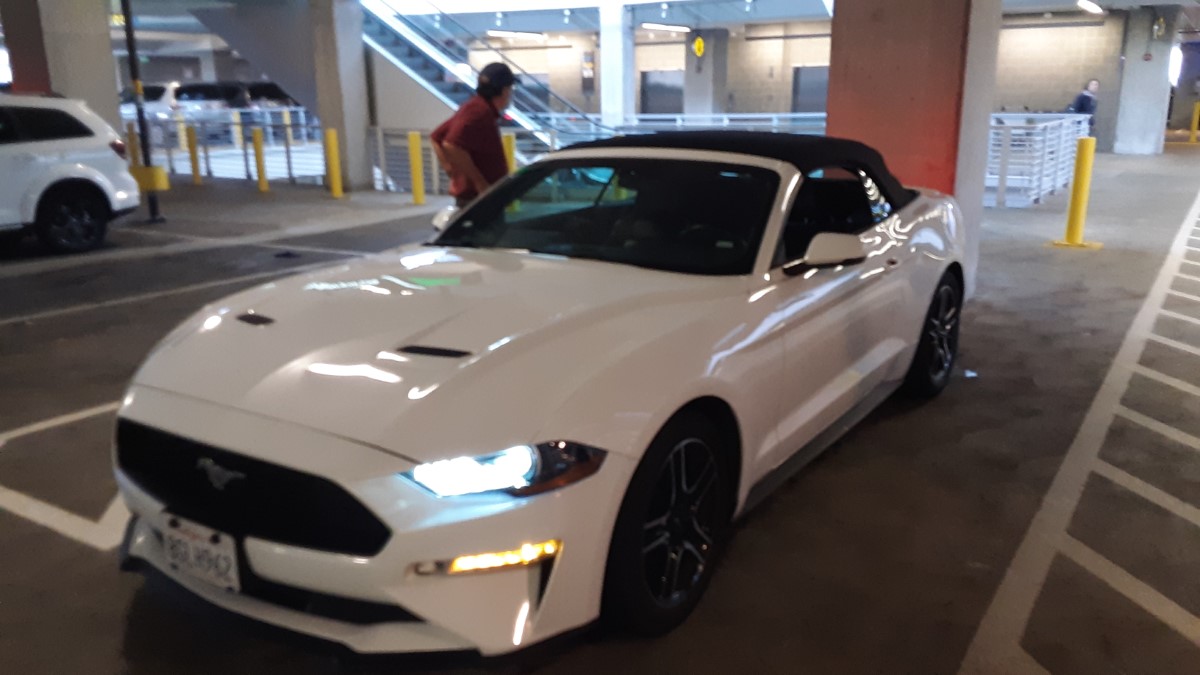 Our white (and lower cost) convertible Mustang!