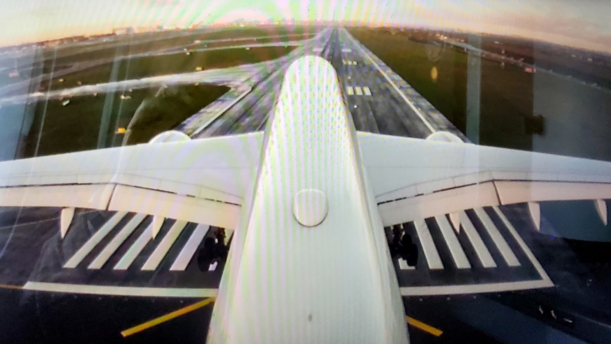 Incredibly, our plane took a selfie as we landed.