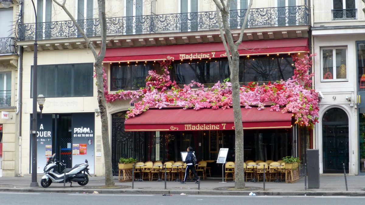 This cafe in the center of the block was just a little different.