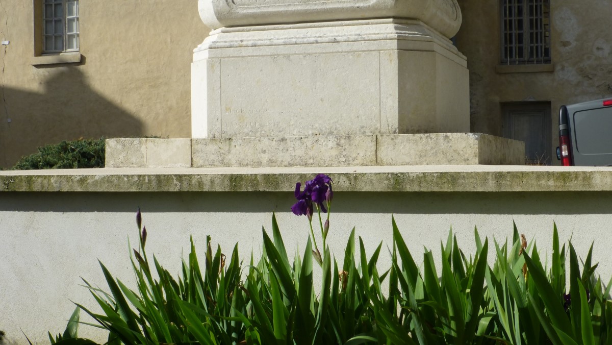 At the entrance of the Église Saint-Samson I found this lone Iris. Irises were Dad's favorite flower.