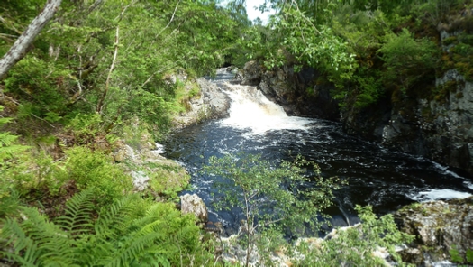 The Falls of Shin.  It’s easy to see how a salmon could get a good running start for a jump!