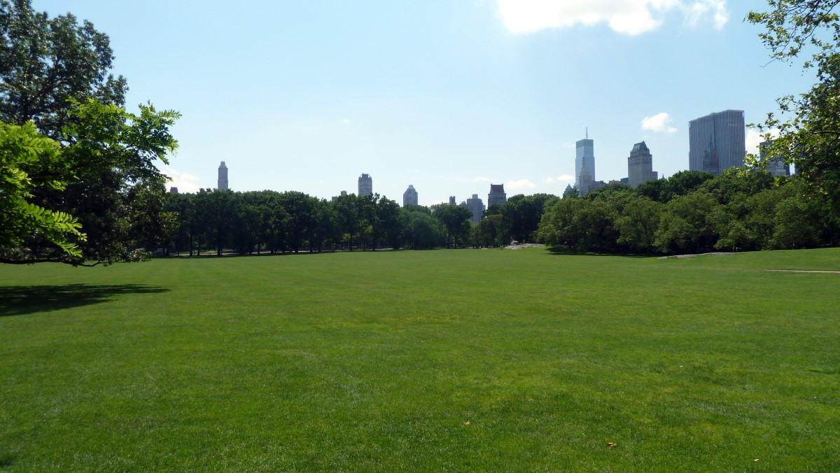 Looking from Central Park towards the Upper East Side.