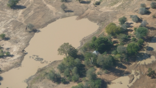 Giraffes from the air near Hoedspruit