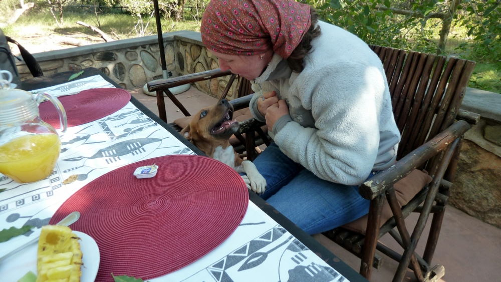 Amy and Chuck, the Camp Dog