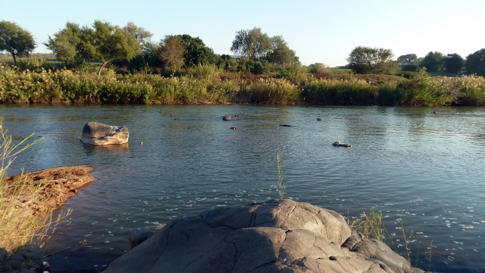 The banks of the Olifants River