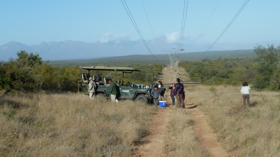 Coffee break on our final Safari