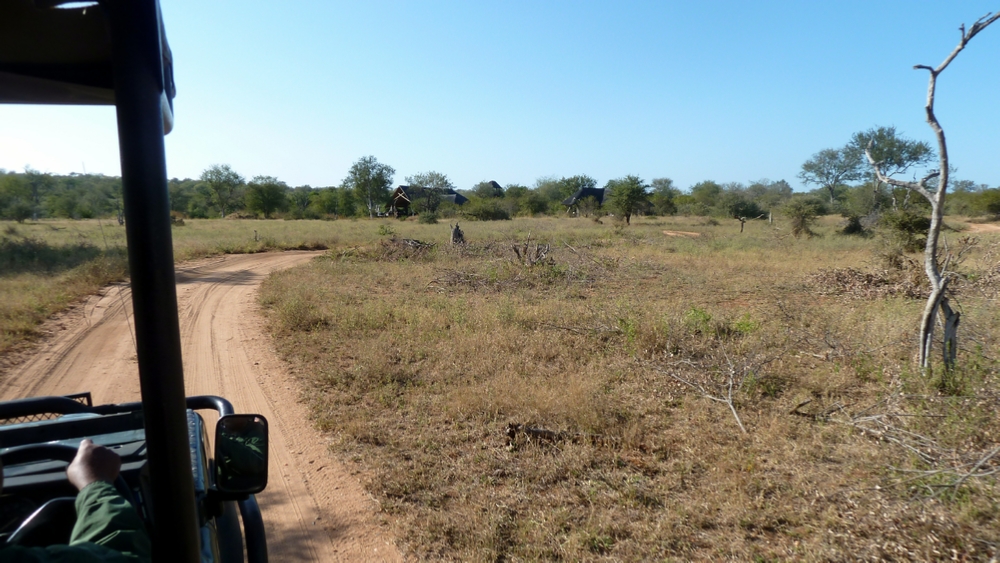 A typical view of the South African veldt as we return to Billy’s Lodge