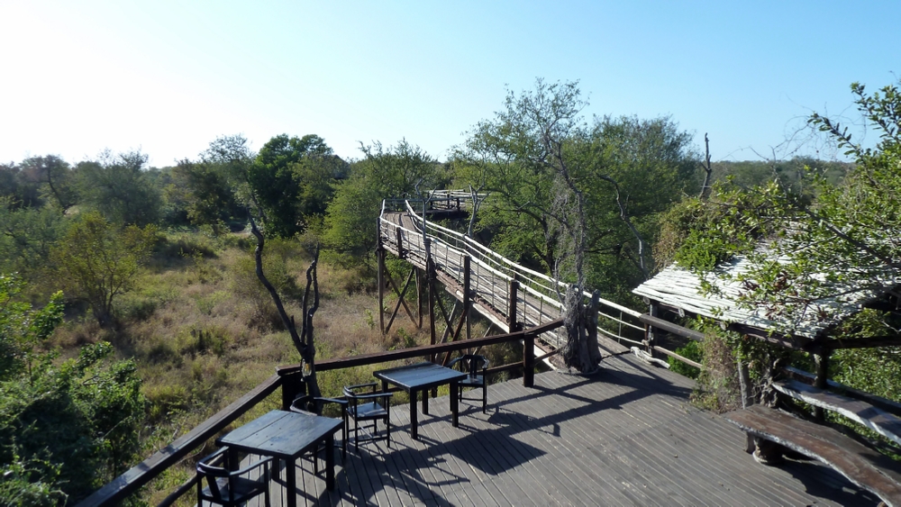 The sky bridge at Billy’s Lodge leads to the watering hole overlook