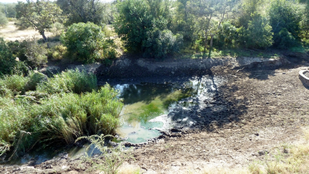 The watering hole overlook at Billy’s Lodge