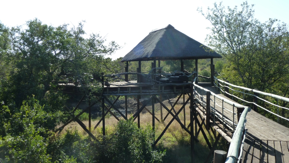 The watering hole overlook at Billy’s Lodge