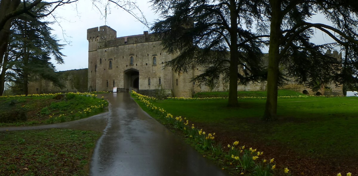 Caldicot castle. The entrance is lined with daffodils the Welsh national flower. (2017).