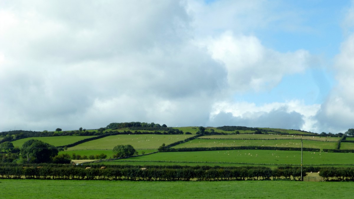 On the road from Dublin