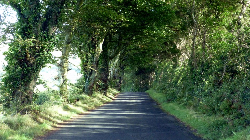 Along the road to the Causeway