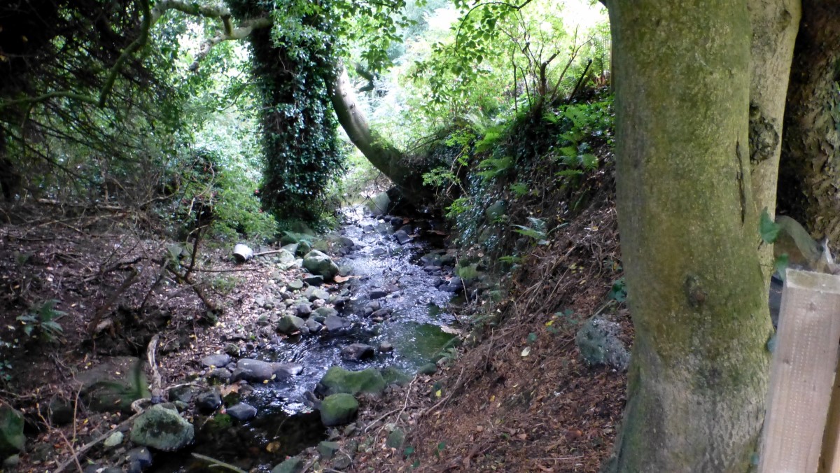 The brook that runs next to the Fairy glen and behind the Cottage