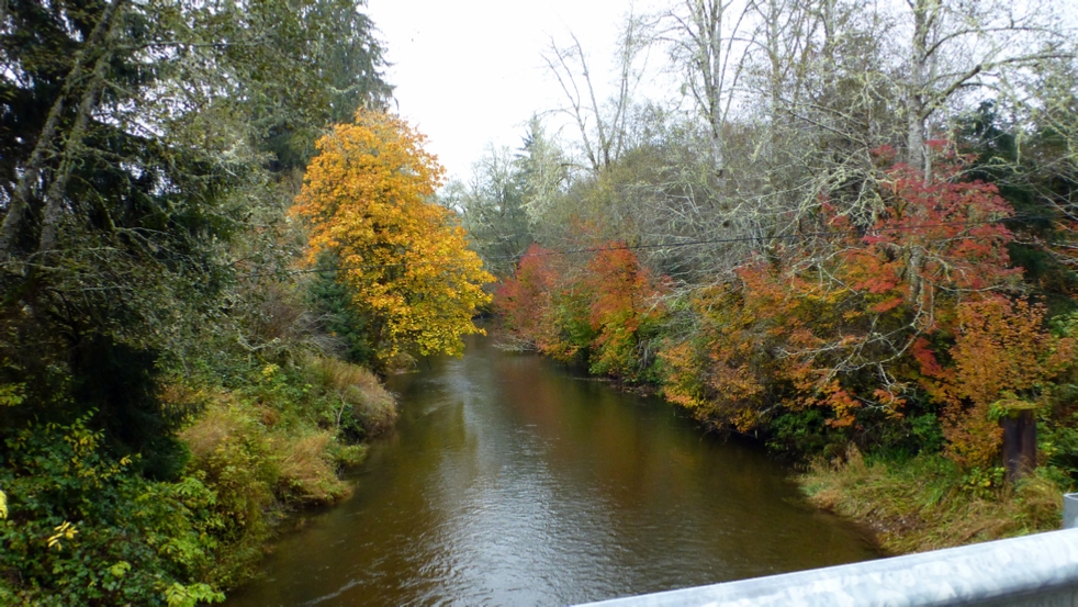 Fall in the Northwest is filled with vibrant colors. Here we are crossing the Clallam River, one of the many small rivers in the area.