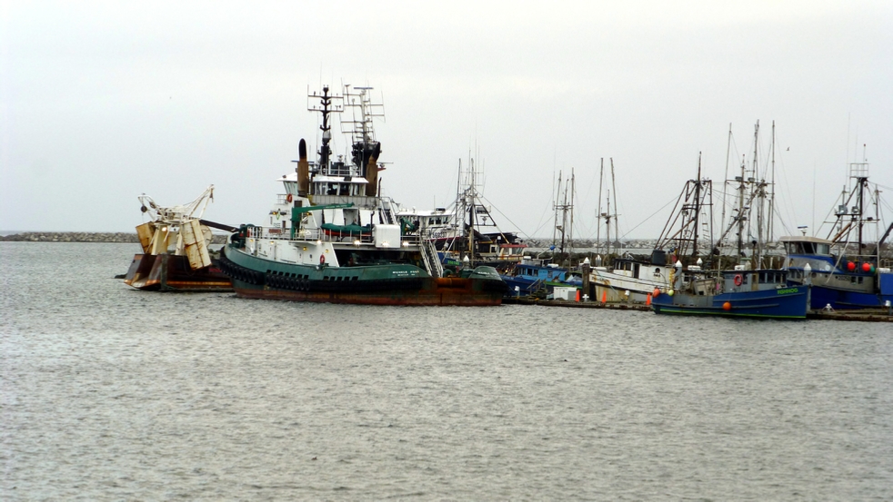 The indigenous Makah people live around Neah Bay. They make much of their living from the sea. Here is a small segment of their fishing fleet.