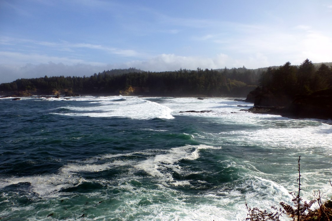 During our entire trip, large waves were rolling in to the shore.