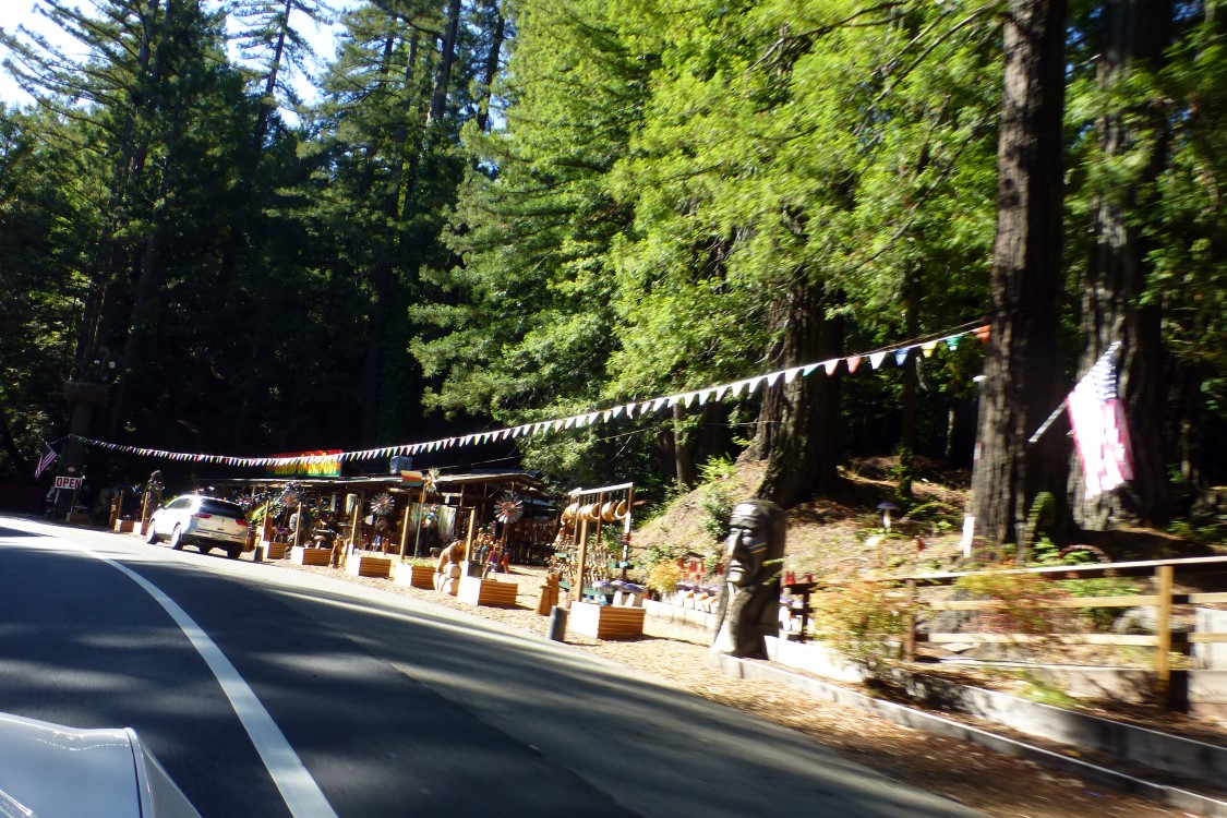 From time to time we would pass these roadside shops nestled into the redwoods. 