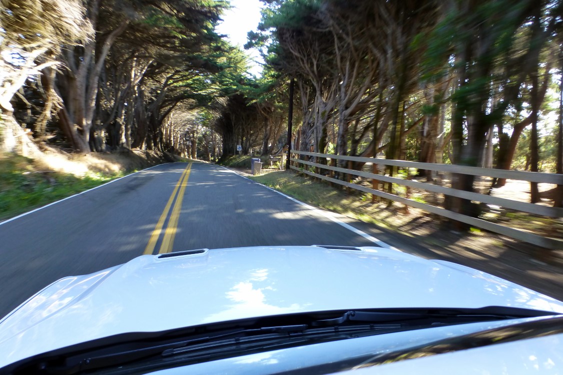 Here CA1 is lined with eucalyptus trees in a tunnel reminiscent of the Dark Hedges in Northern Ireland. Unfortunately, I actually missed the best shot of this. Then again, it brings back memories of the old “Time Tunnel” TV show. (Again I shot this while the car was moving. I think that is considered distracted driving. So is eating an Egg McMuffin while driving.)