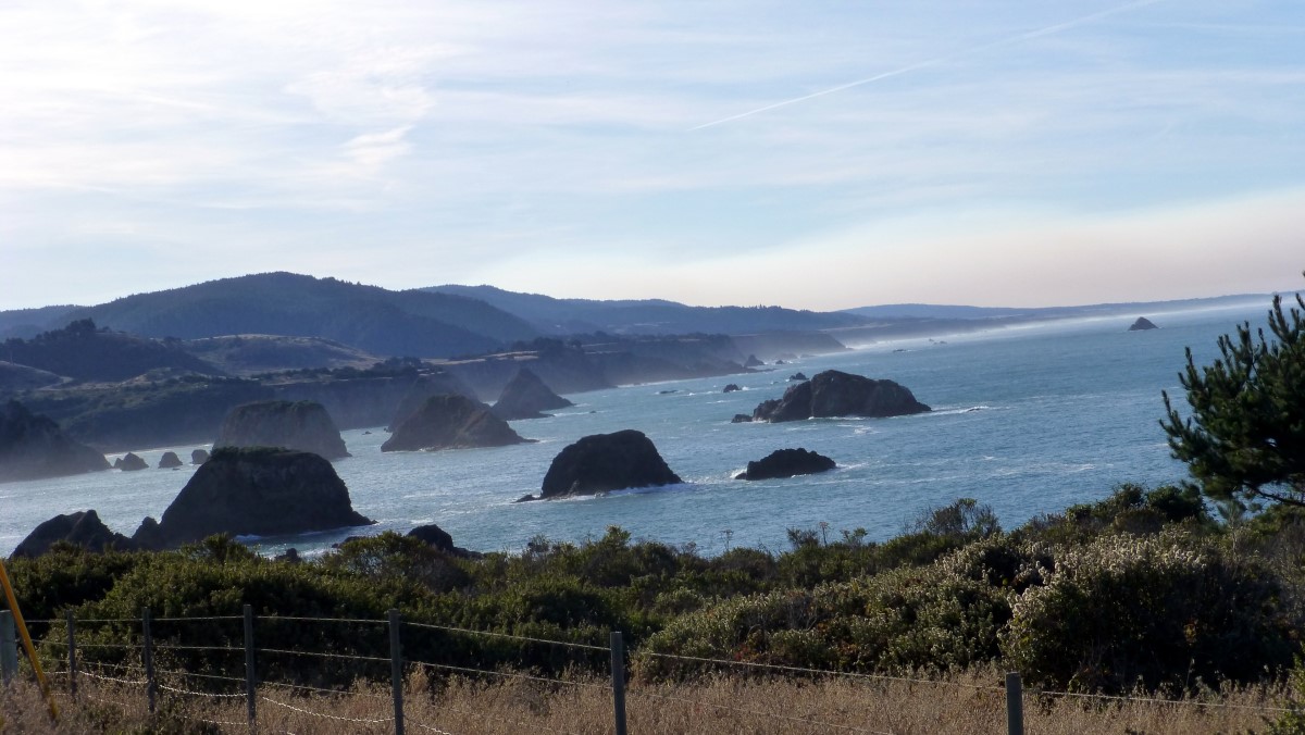 A view of the coast as we continue south on CA1.