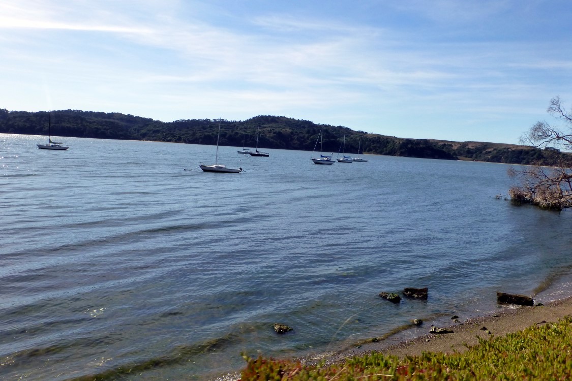 Some oyster boats on Tamales Bay.