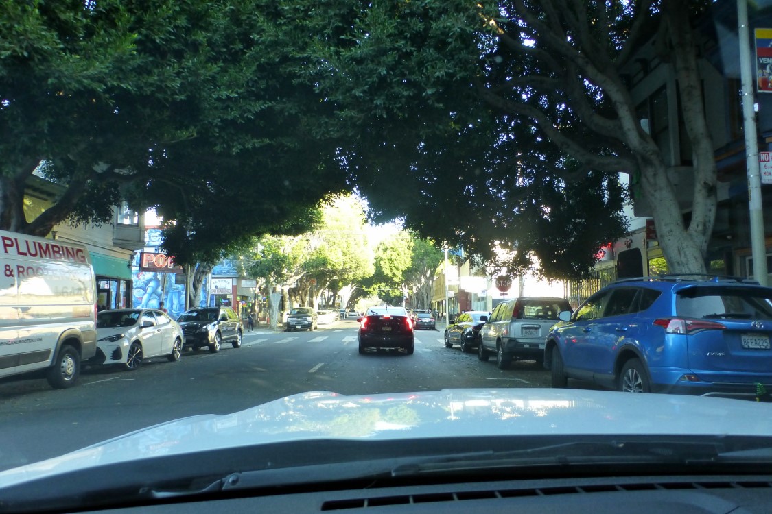 A tree lined street in the Mission District near Petrero Hill.