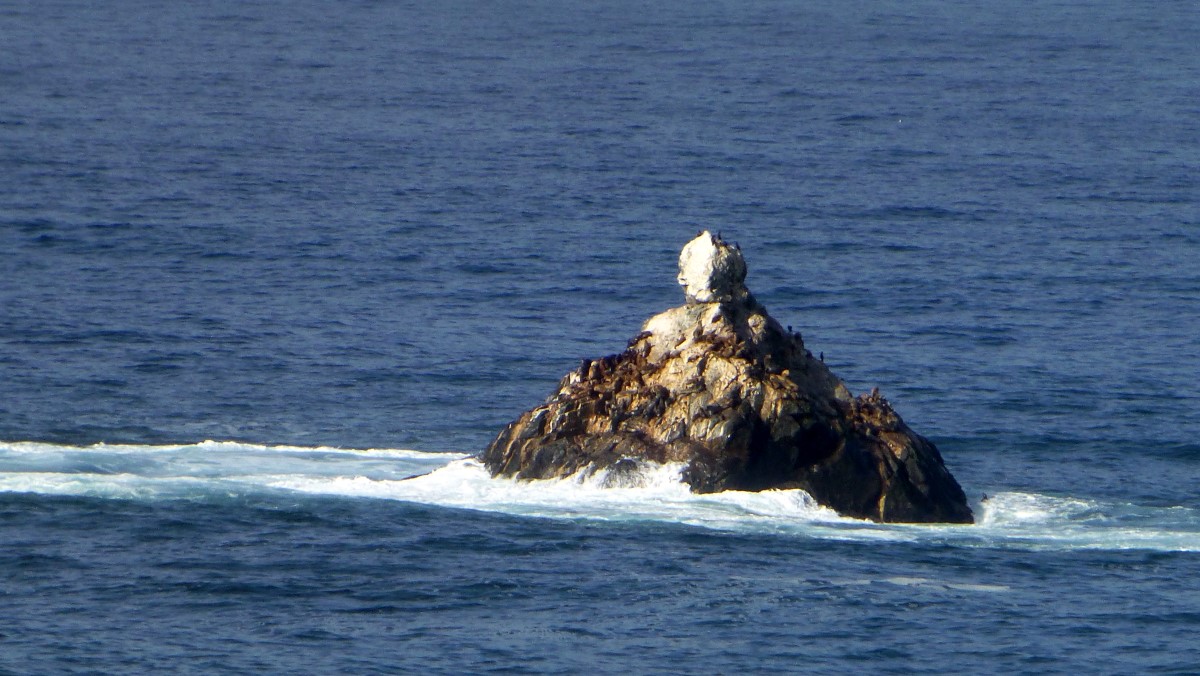 This was taken at the longest zoom of my telephoto lens. If you look closely you can just make out individual elephant seals.