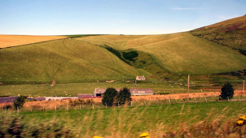 We passed miles of bucolic scenes as we traversed the Spey Valley.