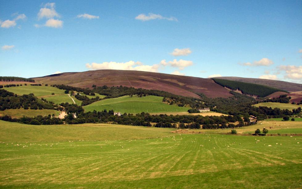 Leaving the Glenlivet Distillery I snapped this picture of heather covered hills.<br>It remains one of my favorite photos to this day.