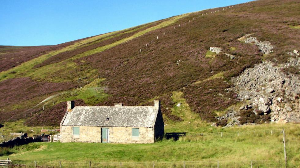 A small cottage at the base of a heather covered hill.