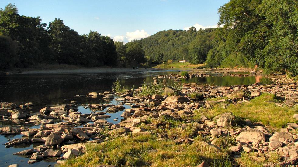 Walking the banks of the River Tweed at sunset inspired a line in my contribution to the song "Tramps & Hawkers."