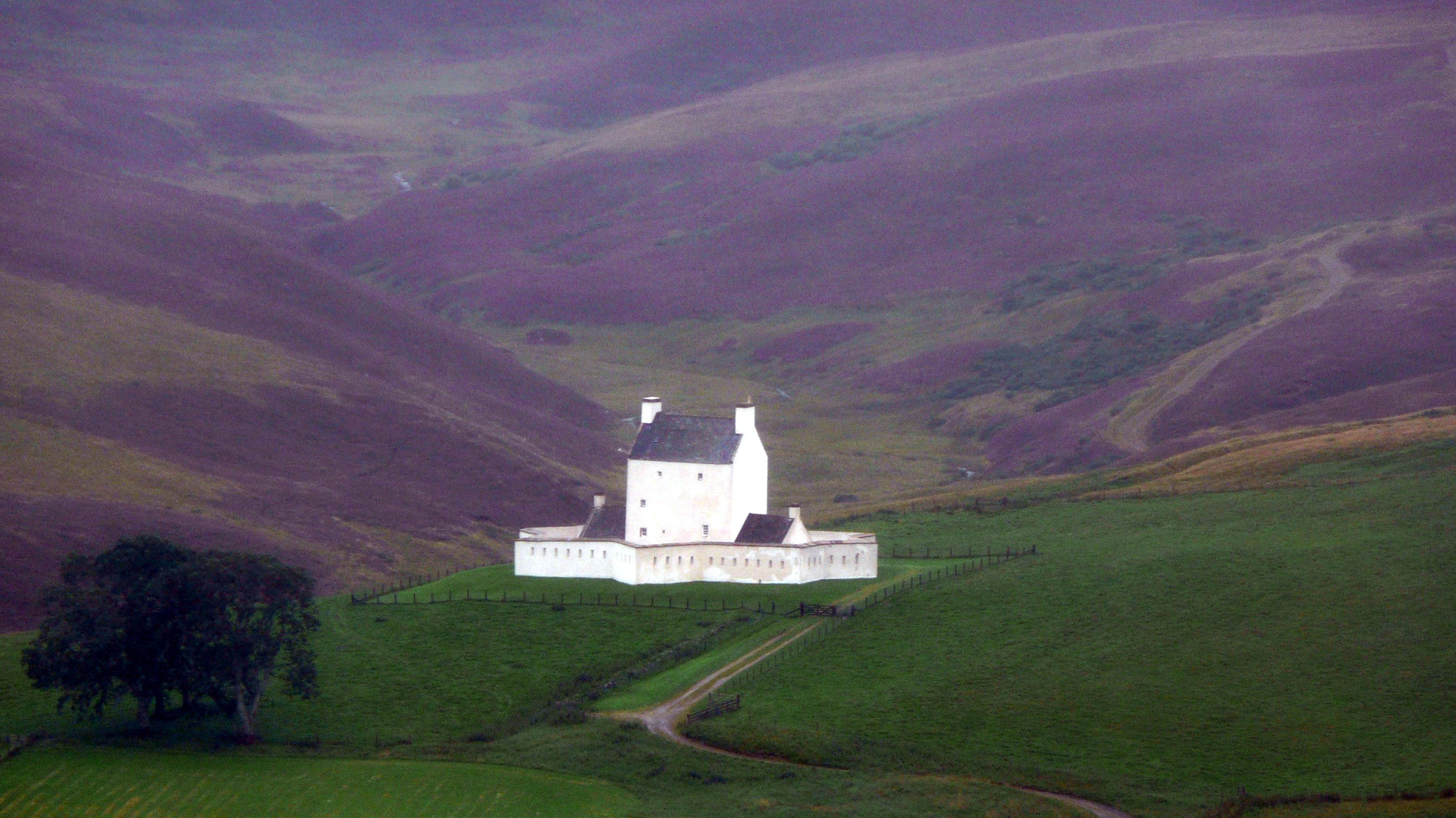 Corgarff Castle stands at the pass between Strathdon and Tomintoul. This is one of my best pictures of the heather blooming in the Highlands. (2008)