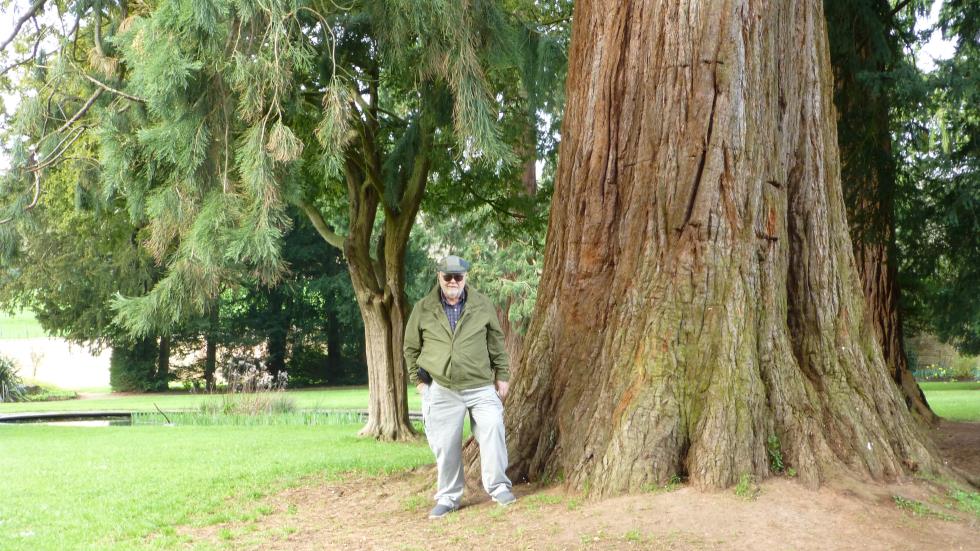 Standing next to this ancient yew tree, I felt the presence of my 2<sup>nd</sup> and 3<sup>rd</sup> great grandfathers who, as gardeners, tended these grounds and most assuredly stood beneath this tree.