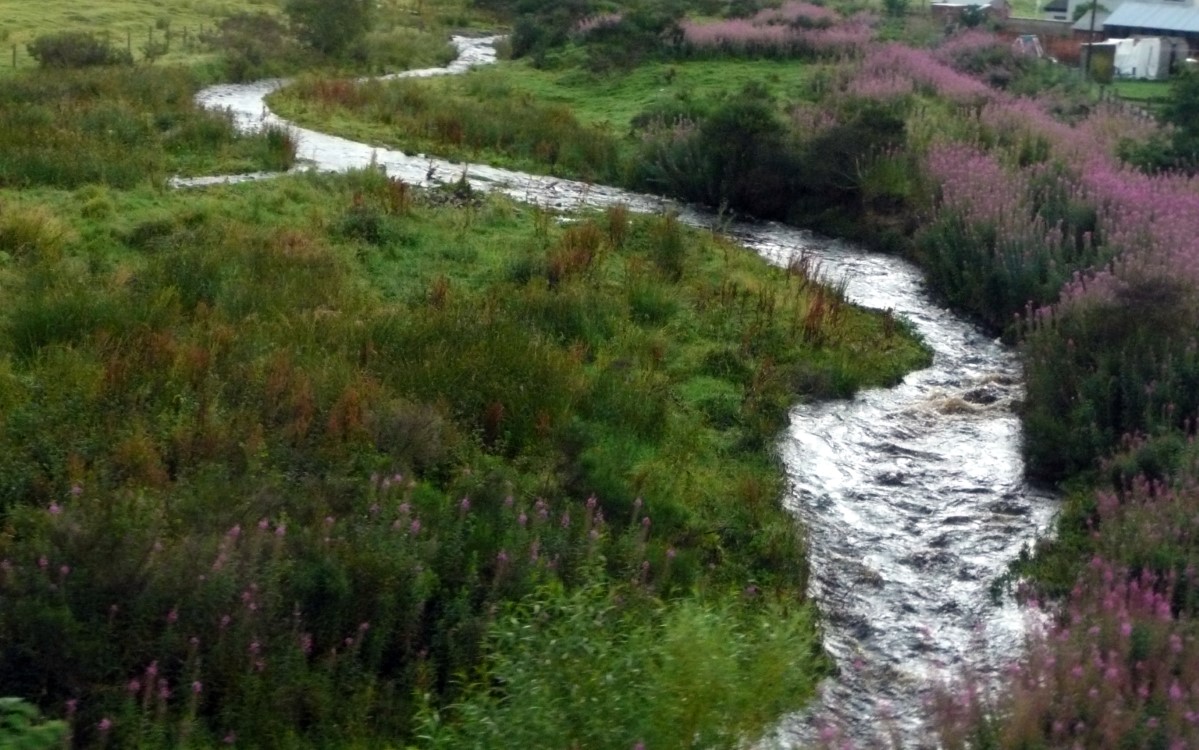 Along the road in the Spey Valley.