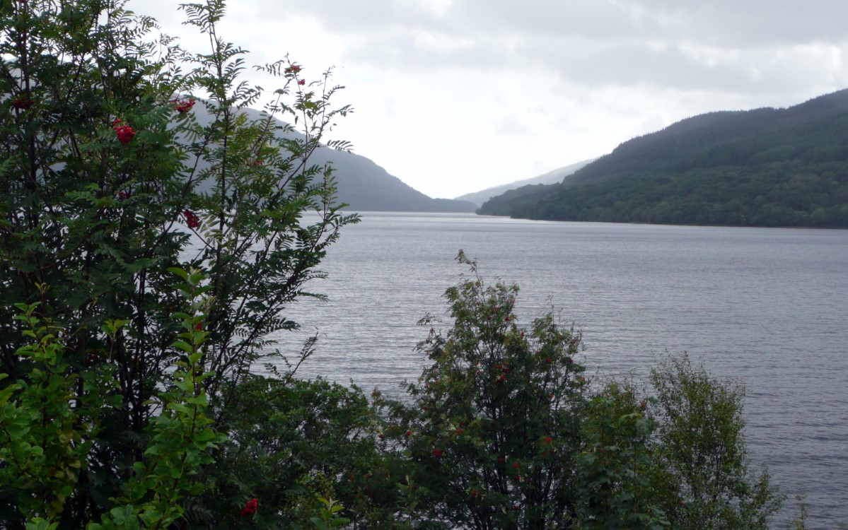 Loch Lomond through the Rowan trees