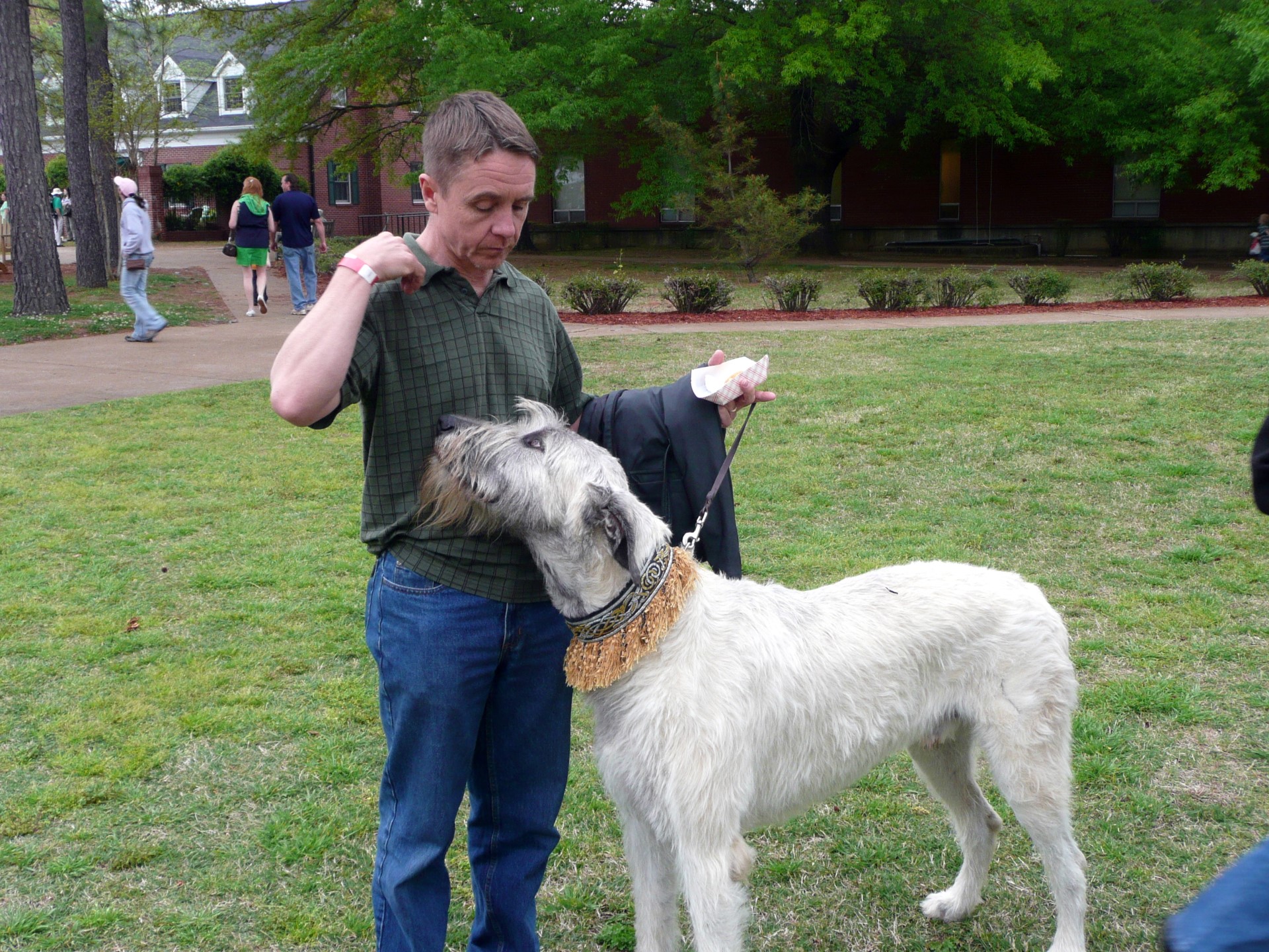 A Scottish Deerhound (I didn’t get his name)