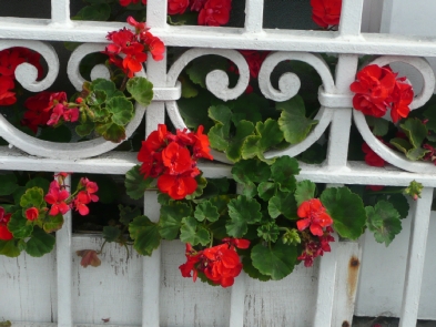 In the City of Bantry, Co. Cork