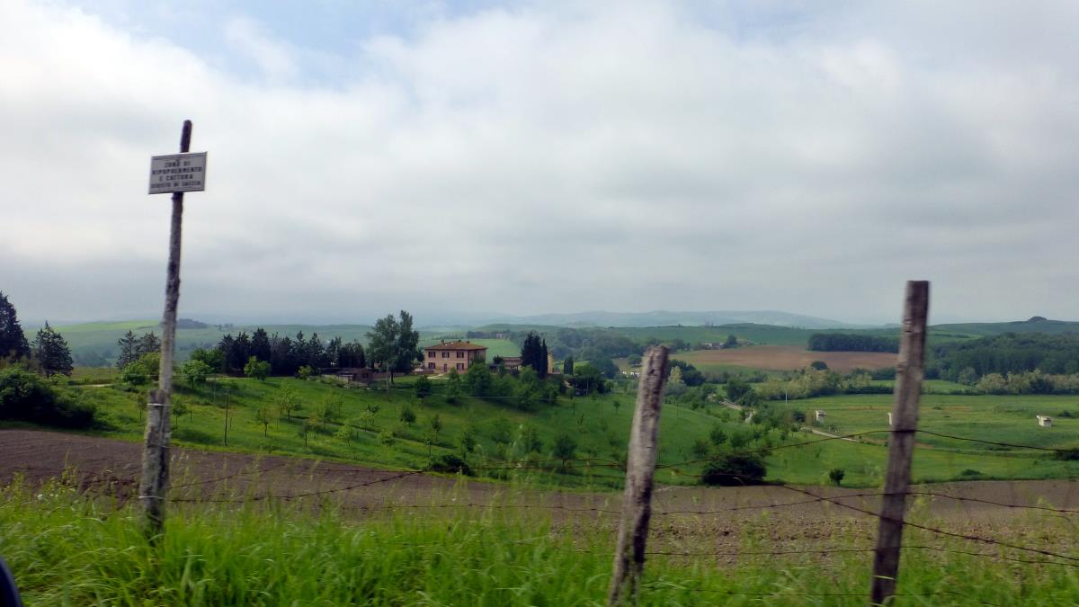 On the road to Montalcino