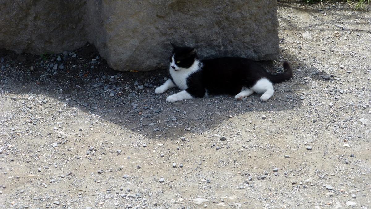 One of the few remaining citizens of Pompeii